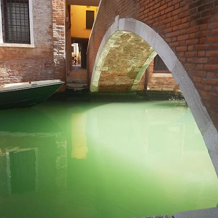 The Secret Garden In The Very Heart Of Venice Exterior photo