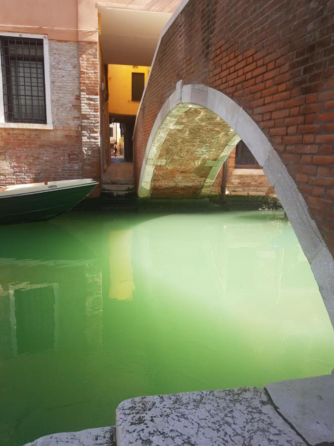 The Secret Garden In The Very Heart Of Venice Exterior photo
